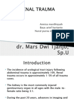 Renal Trauma: Dr. Mars Dwi Tjahjo, Sp.U