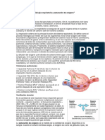 Fisiología de La Respiracion