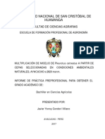 Informe Técnico de Practica Pre-Profesional