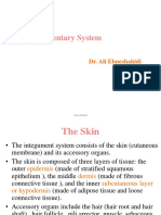 Chap 3 - Integumentary System PDF