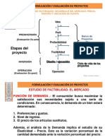 Formulacion y Evaluacion de Proyectos Estudio de Factibilidad