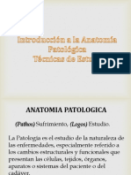 Introducción A La Anatomía Patológica