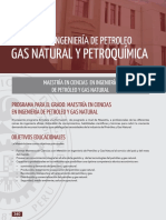 UNI Maestria-Petroquimica