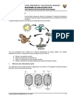 Prueba Diagnóstica Cta 2