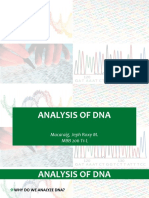 Dna Analysis