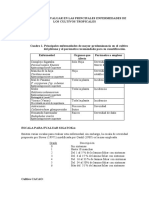 Parametros Evaluacion Cultivos