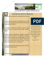 1-Guanabana (Modo de Compatibilidad) PDF