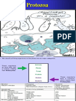 Protozoa Kuliah