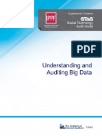 GTAG Understanding and Auditing Big Data