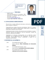 Curriculum Vitae - Ps - Efrain E. de La Cruz Vizcarra