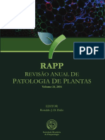 Rapp V24 2016 PDF