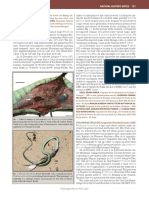 Laspiur Et Al.2012. Philodryas Trilineta. Diet. HR-2012!43!1-p153