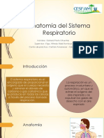 Sistema Respiratorio Dinamica y Mecanica