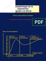 Mal de Altura PDF