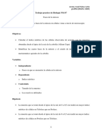 Trabajo Practico de Biología NM #7 - Fases de La Mitosis