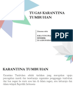 Karantina Tumbuhan