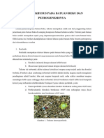 Tekstur Khusus Pada Batuan Beku Dan Petrogenesisnya (PETROGRAFI)