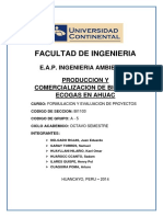 Proyecto de Inversion Ecogas