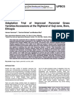 Adaptation Trial of Improved Perennial Grass Varieties/Accessions at The Highland of Guji Zone, Bore, Ethiopia