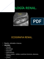 Exposicion Renal