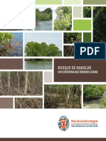 Bosque de Manglar Un Ecosistema Que Debemos Cuidar PDF