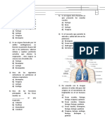 Examen Grado 8° Sistema Respiratorio