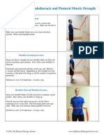 Exercises For Scapulothoracic and Postural Muscle Strength