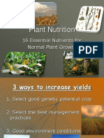 Plant Nutrition: 16 Essential Nutrients For Normal Plant Growth