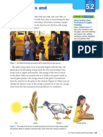 5.2 Food Chains and Food Webs