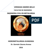 Caceres German Apuntes Curso Hidrometalurgia Avanzada PDF