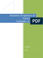 Relatorio Quimica Dos Alimentos - Cinzas e Umidade (Reparado)