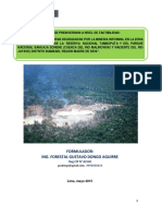 Recuperacion de Areas Degradadas Por Mineria en Madre de Dios. Gustavo Dongo A.