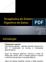 Terapêutica Do Sistema Digestivo de Gatos