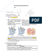 Biochemistry of HB Oxydation-Reduction