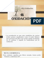 Alfa Oxidacion y Cetogene