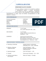 Curriculum Vitae Modelo