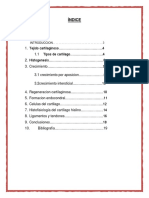 Tejido Cartilaginoso Histologia