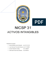 Nicsp 31-Activos Intangibles