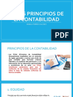 Los 16 Principios de La Contabilidad