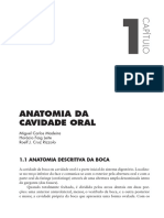 Boca PDF