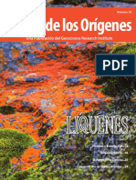 Ciencia y Origenes Liquenes