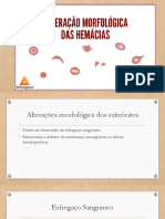 Manual de Hematologia