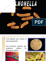 Salmonela