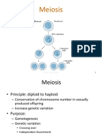 Meiosis