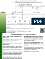 Rabano PDF