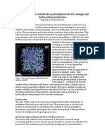 DigitalRockPetrophysics PDF