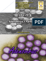 TEMA 20 Adenovirus y Parvovirus PDF