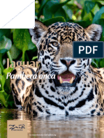 Panthera FactSheets Jaguar