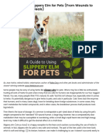 A Complete Guide To Using Slippery Elm For Pets - Dr. Axe