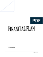 Sample Financial Plan